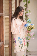 Nargis 2 PC